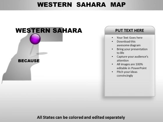 Western Sahara Country PowerPoint Maps