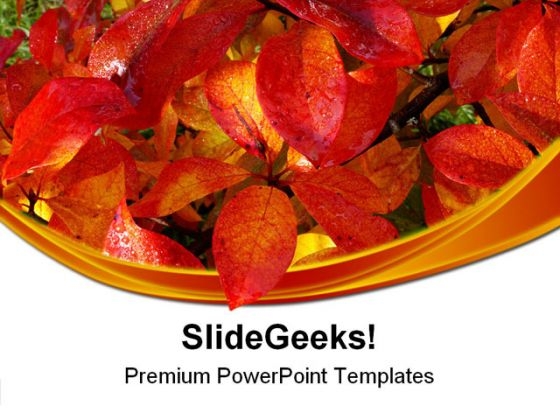 Wet Autumn Leaves Nature PowerPoint Themes And PowerPoint Slides 0511