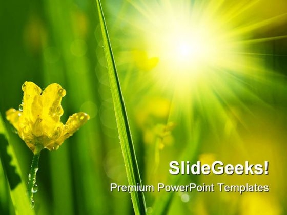 Wet Meadow Nature PowerPoint Templates And PowerPoint Backgrounds 0411