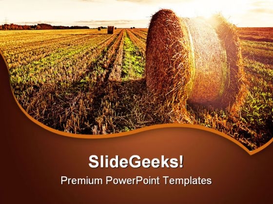 Wheat Field Agriculture PowerPoint Templates And PowerPoint Backgrounds 0511