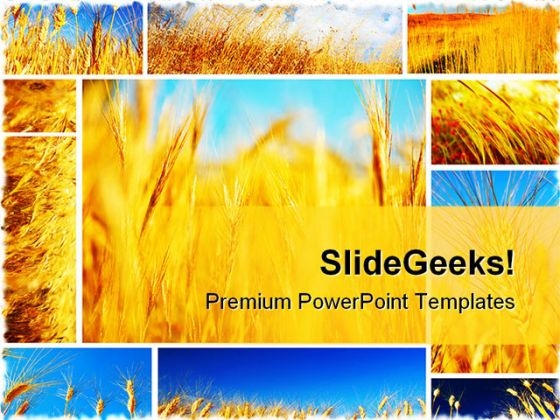 Wheat Field Collage Food PowerPoint Templates And PowerPoint Backgrounds 0611