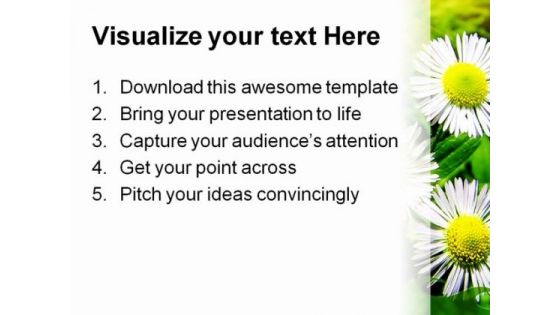 White Chamomiles Flowers Beauty PowerPoint Themes And PowerPoint Slides 0411