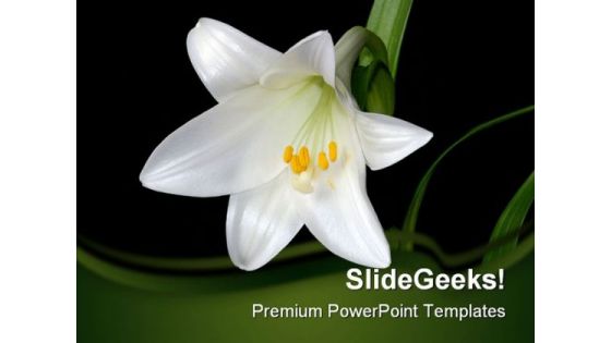 White Lily Beauty PowerPoint Template 0810