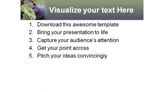 Wild Blueberry Food PowerPoint Templates And PowerPoint Backgrounds 0211