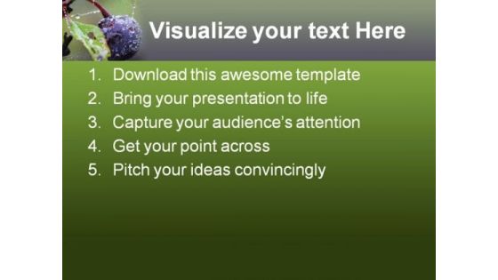 Wild Blueberry Food PowerPoint Templates And PowerPoint Backgrounds 0211