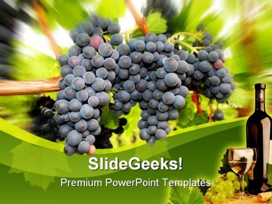 Wine Grapes Nature PowerPoint Template 0610