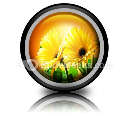 Yellow Daises PowerPoint Icon Cc