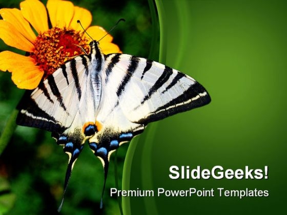 Yellow Flower And Butterfly Nature PowerPoint Themes And PowerPoint Slides 0211