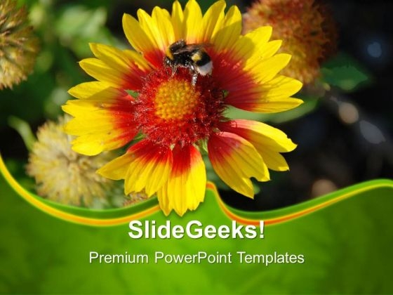 Yellow Flower Nature PowerPoint Templates And PowerPoint Themes 0512