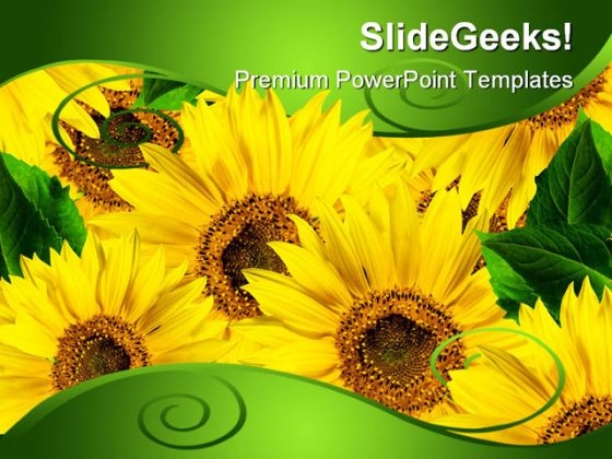 Yellow Flowers Beauty PowerPoint Background And Template 1210