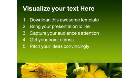 Yellow Flowers Beauty PowerPoint Templates And PowerPoint Backgrounds 0211