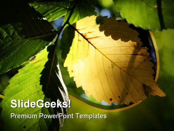 Yellow Leaf Nature PowerPoint Template 0810