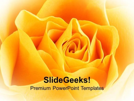 Yellow Rose Beauty PowerPoint Templates Ppt Backgrounds For Slides 0213