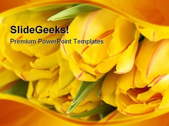 Yellow Tulips Beauty PowerPoint Themes And PowerPoint Slides 0211