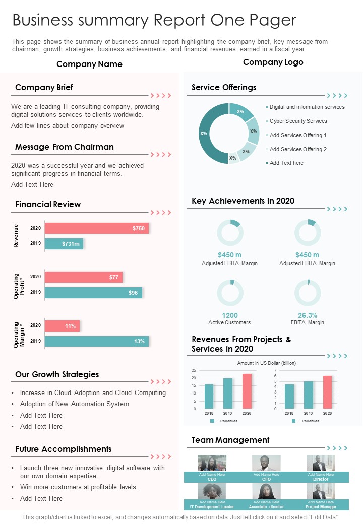 Business_Summary_Report_One_Pager_One_Pager_Documents_Slide_1.jpg