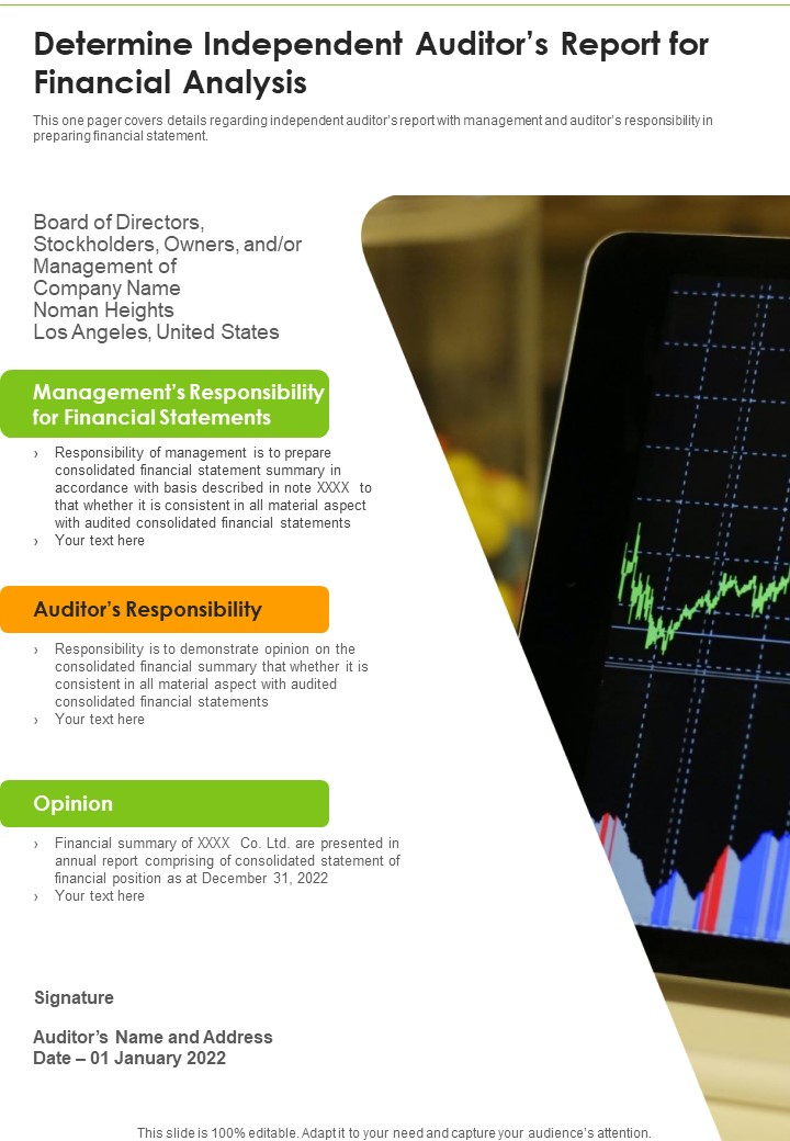 Determine_Independent_Auditors_Report_For_Financial_Analysis_Template_126_One_Pager_Documents_Slide_1.jpg