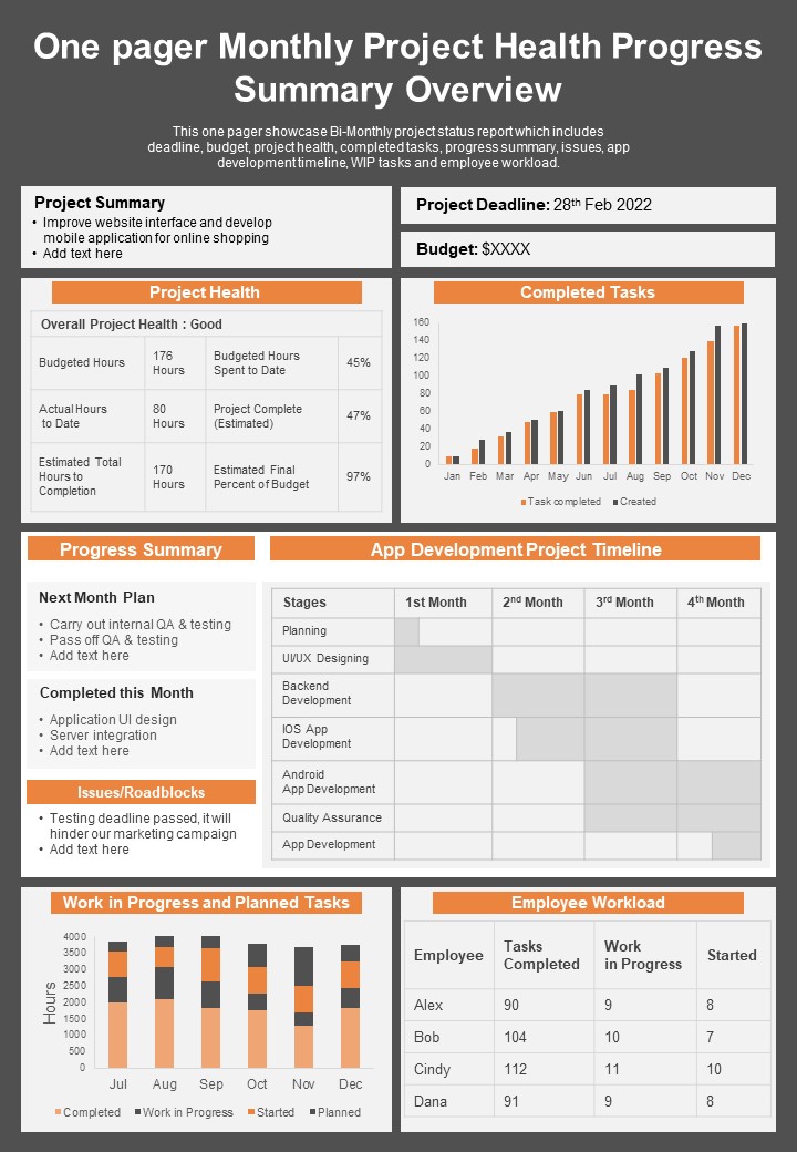 One_Pager_Monthly_Project_Health_Progress_Summary_Overview_PDF_Document_PPT_Template_Slide_1.jpg