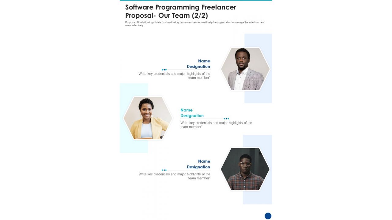 Software Programming Freelancer Proposal Our Team One Pager Sample Example Document